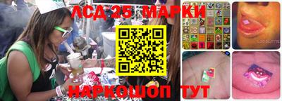 гидропоника Жуковский