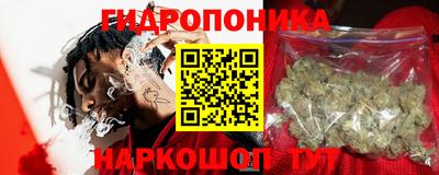 гидропоника Жуковский
