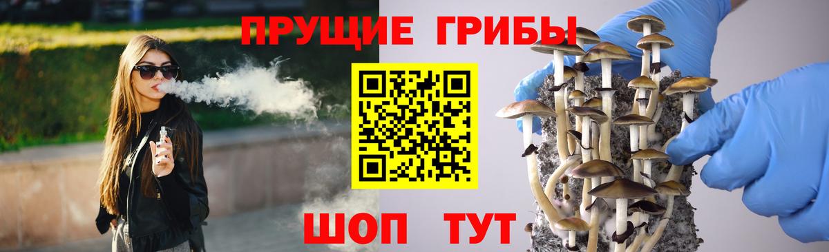 Коркино  Галлюциногенные грибы Psilocybine cubensis  Вход с VPN  Псилоцибиновые грибы прущие грибы 